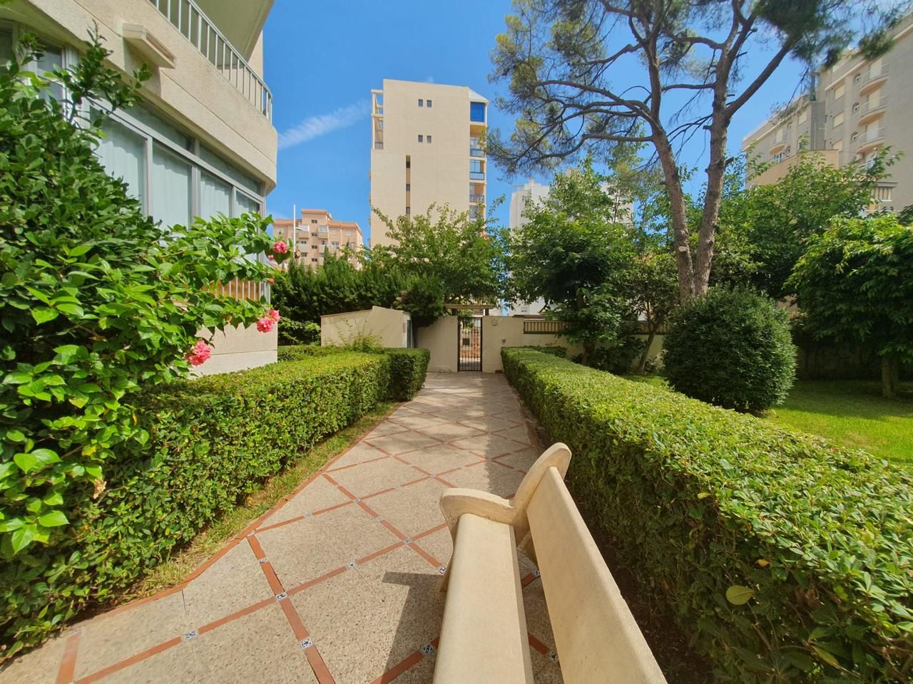 Jardí de Apartament de lloguer en Gandia amb Terrassa, Moblat i Piscina comunitària