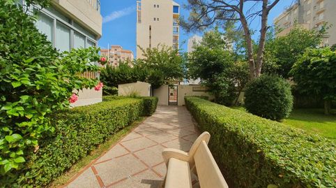 Foto 3 de Apartament de lloguer a Paz, 29, Playa de Gandia, Gandia