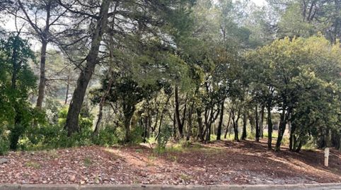 Terreno semiplano en Cavall Bernat, immagine 2