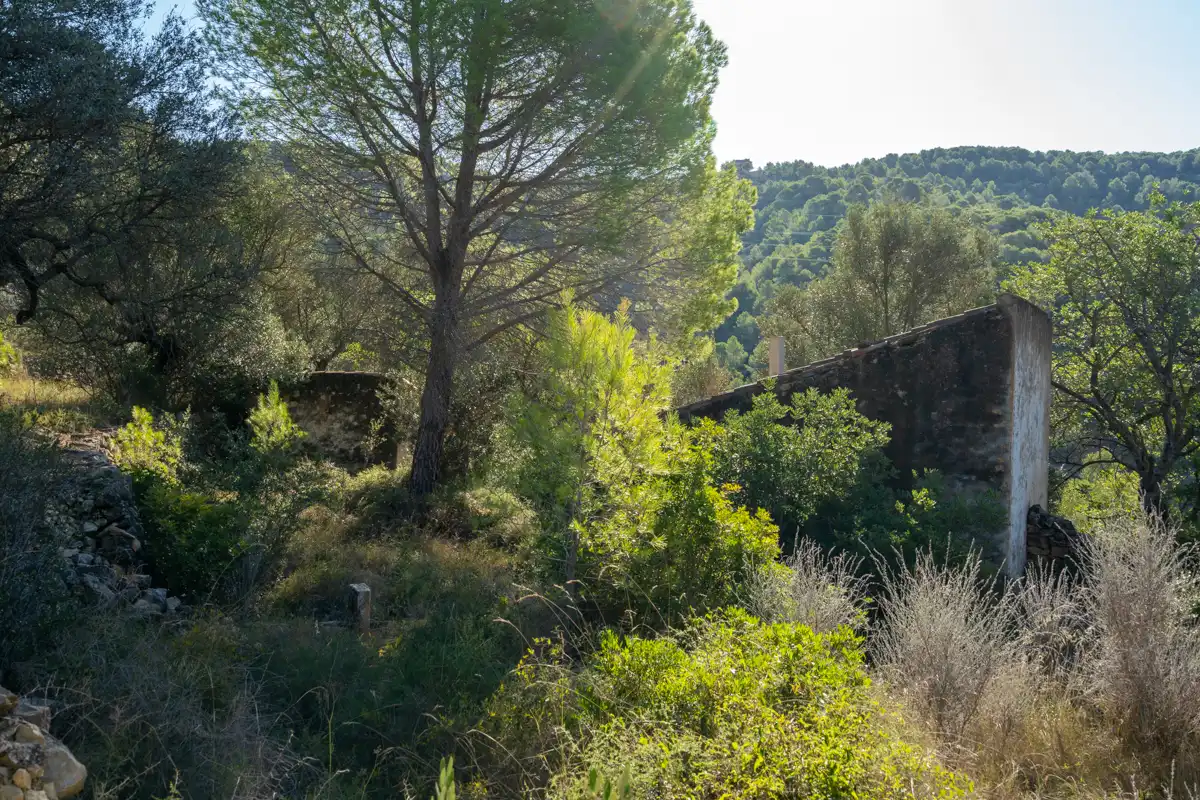 Terreny rústic en venda a Camí de la Potra de Pino 28, imagen 18