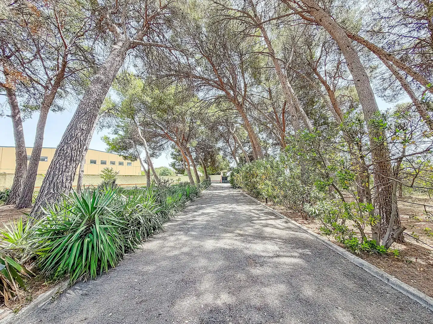Casa o chalet en venta en Yecla