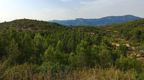 Foto 5 de Finca rústica en venta en Benifallet, Tarragona