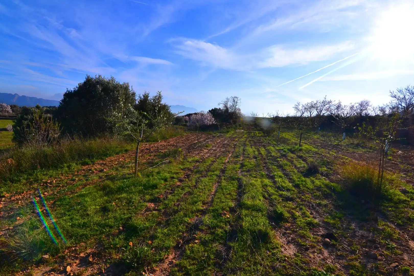 Rural land for sale in Gandesa, imagen 36