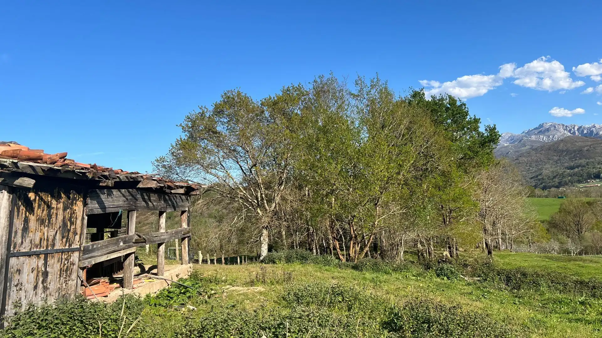 Terreni e lotti in vendita a Cangas de Onís, imagen 16