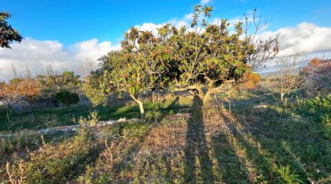 Photo 5 of House or chalet for sale in Benissa pueblo, Benissa