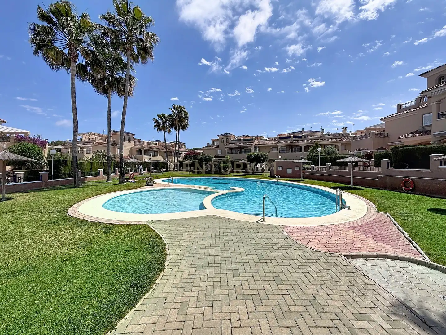 Swimming pool of Detached homes for rent in Pilar de la Horadada  with Air Conditioner and Community pool