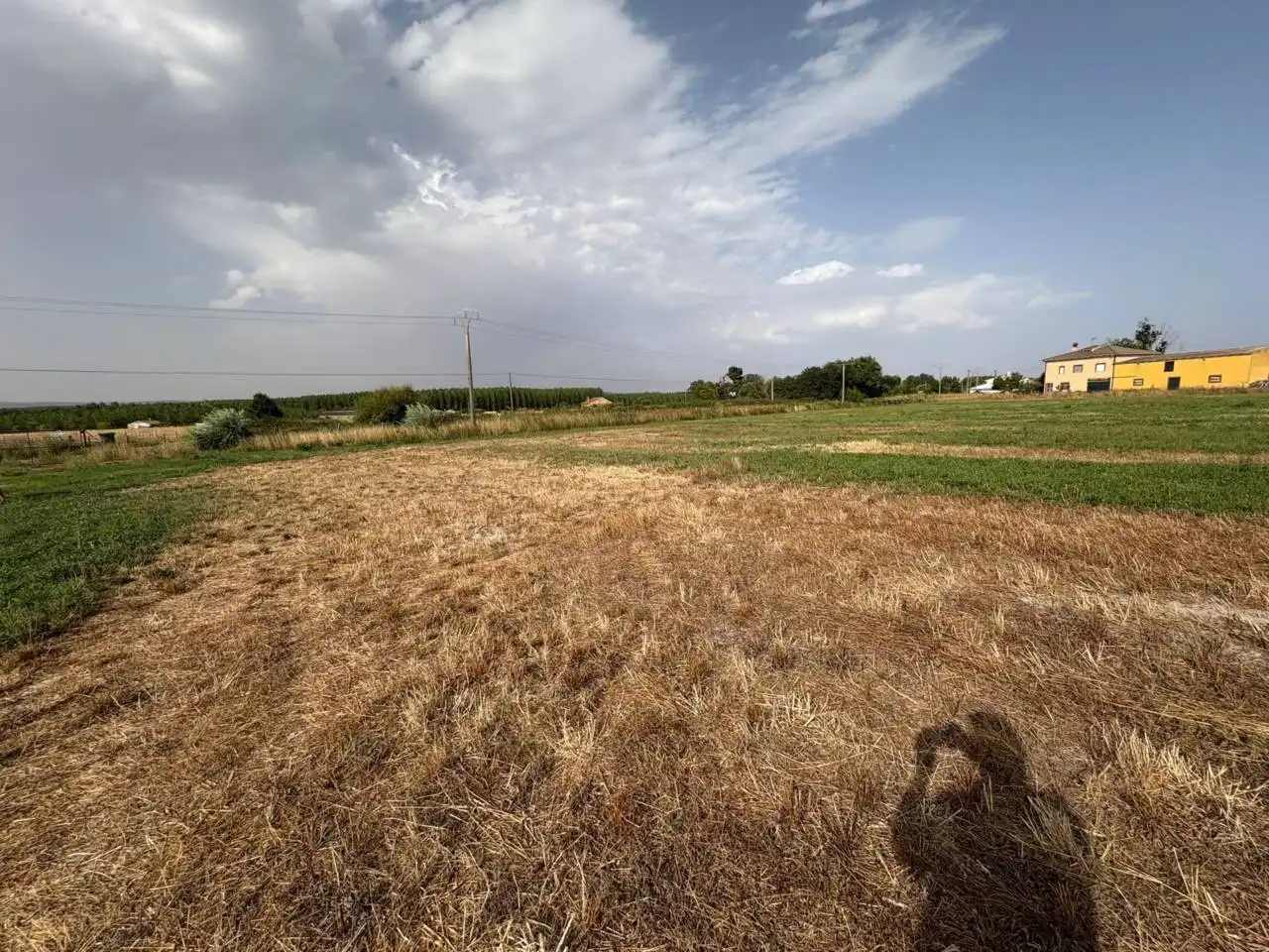 Terreno rústico en venta en Ciudad Rodrigo, imagen 5