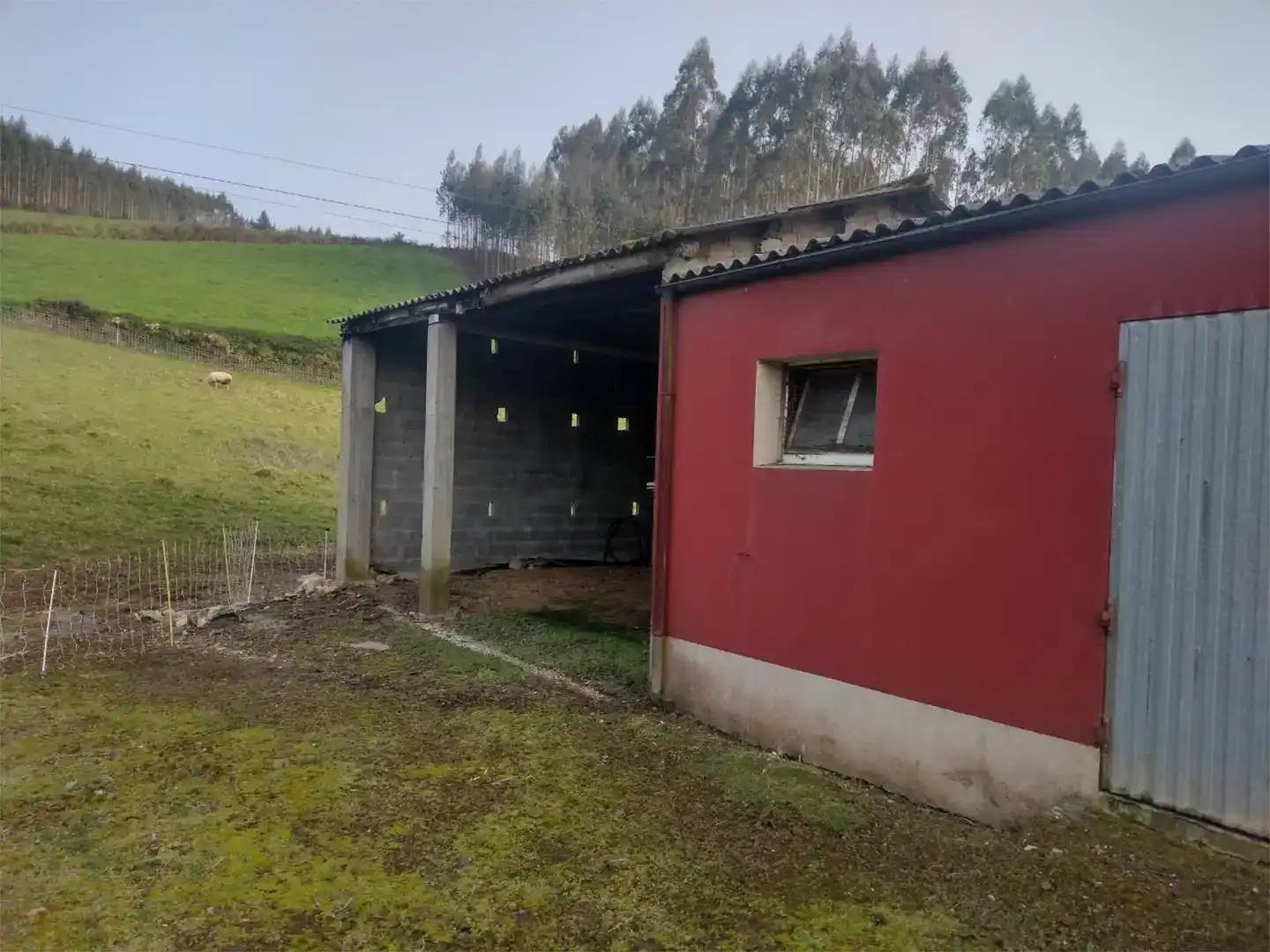 Vista exterior de Casa o xalet en venda en A Pastoriza 