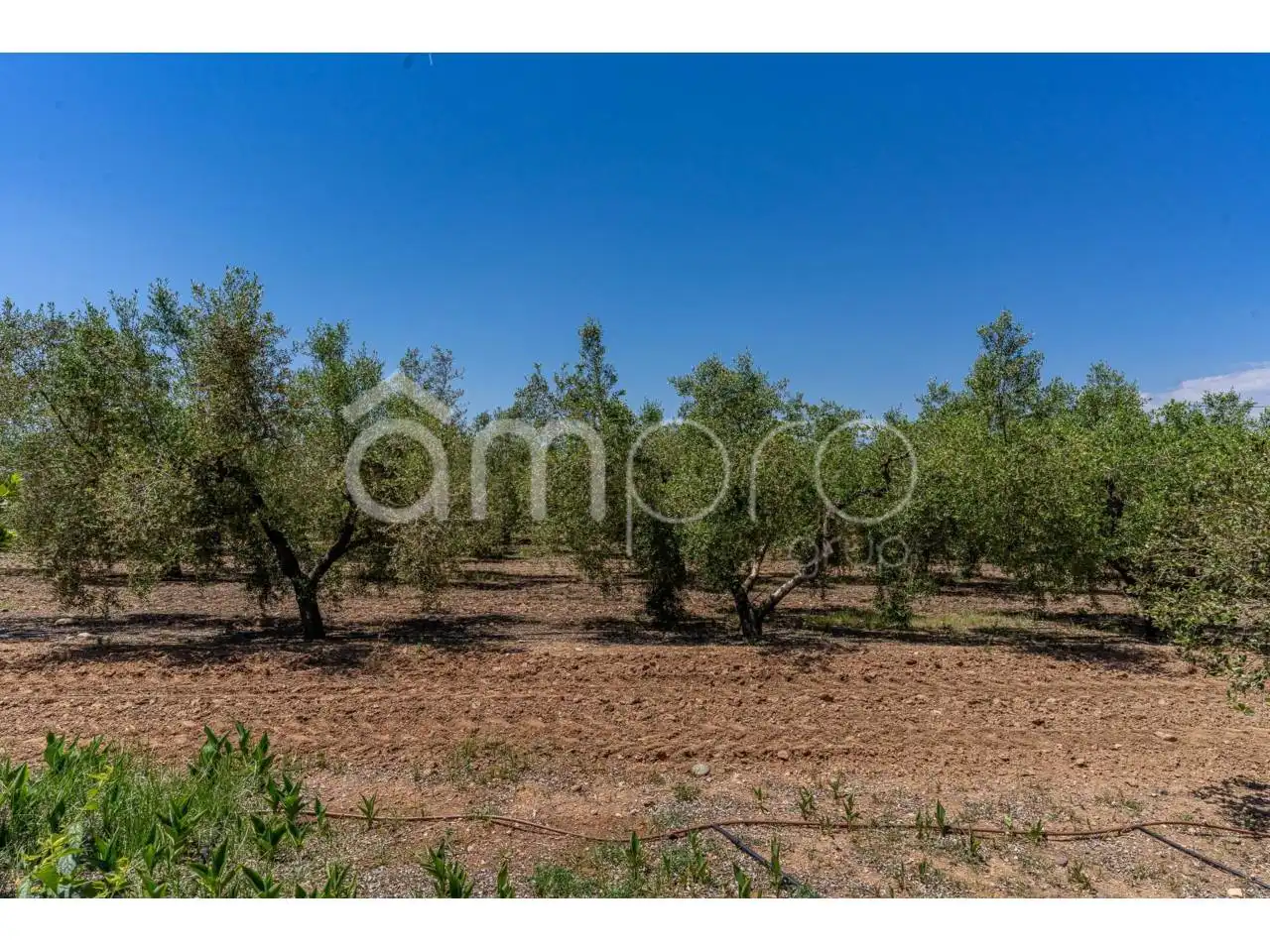 Finca rústica en venta en Vilallonga del Camp con Calefacción, Jardín privado y Terraza