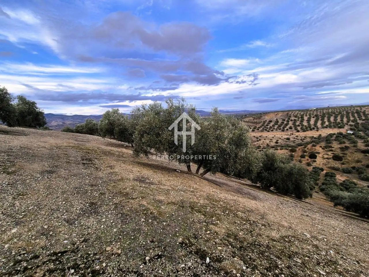 Terreni e lotti in vendita a Huétor Tájar, imagen 10