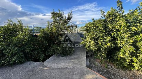 Foto 4 de Terreno en venta en Carcaixent, Valencia