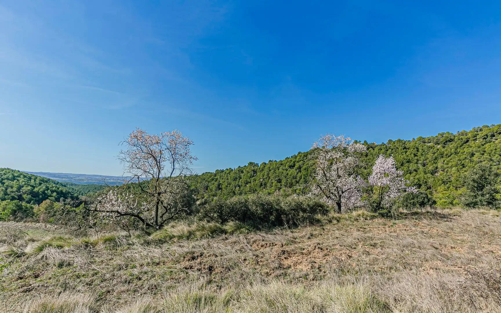 Finca rústica en venta en Navès con Calefacción, Jardín privado y Terraza
