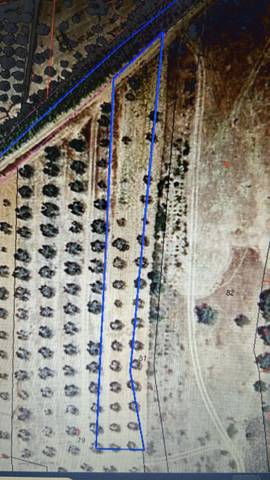 Finca rústica en Venta en Bollullos Par del Condado