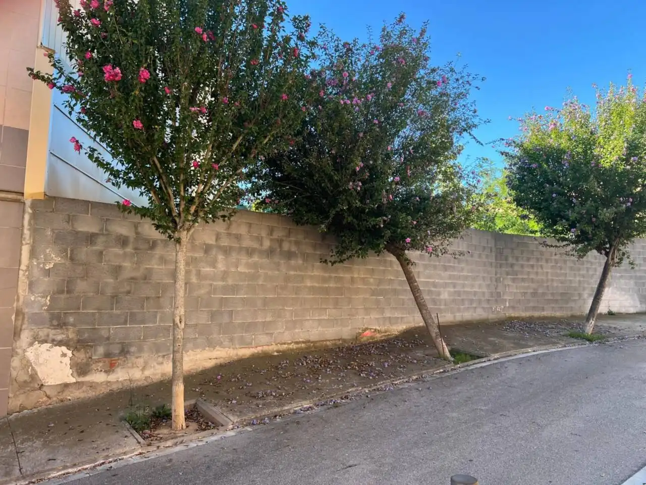 Rural land for sale in Carretera Olesa, imagen 6