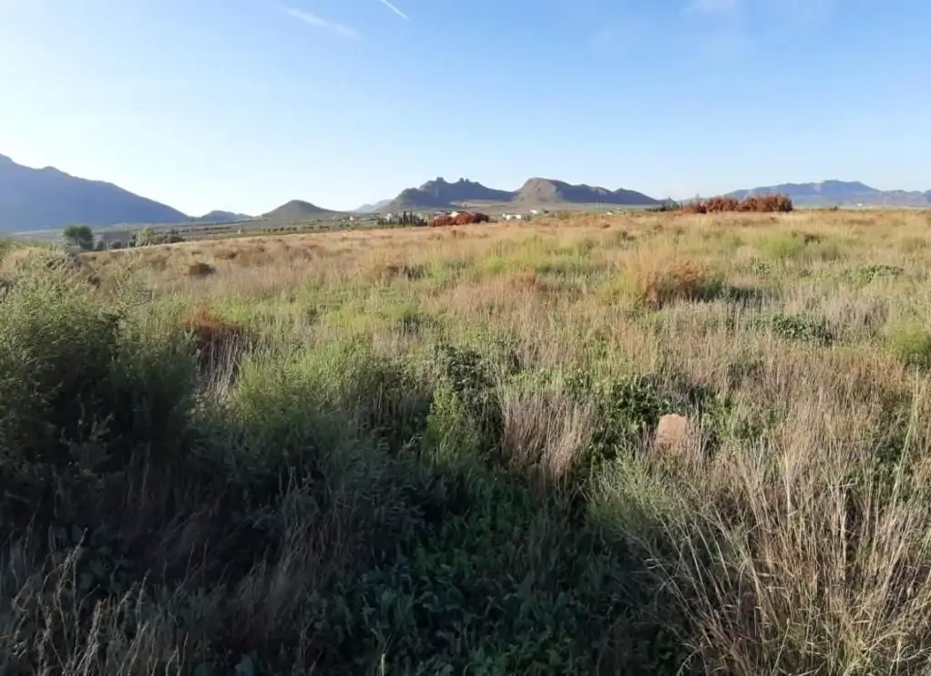 Rustikales Grundstück zum Verkauf in Jimena (La)-Casa Tosquilla (De La) 113, imagen 3
