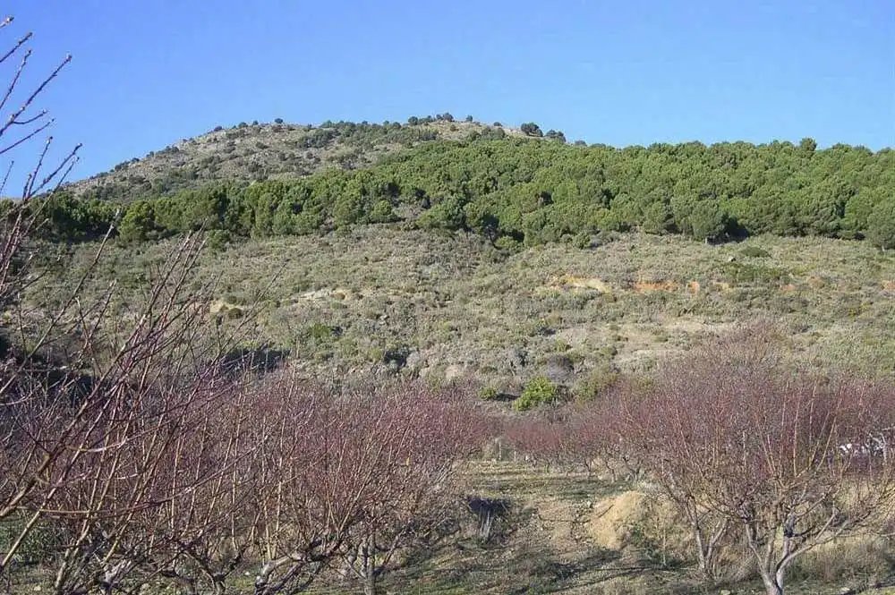 Terreny rústic en venda a Canillas de Albaida, imagen 4