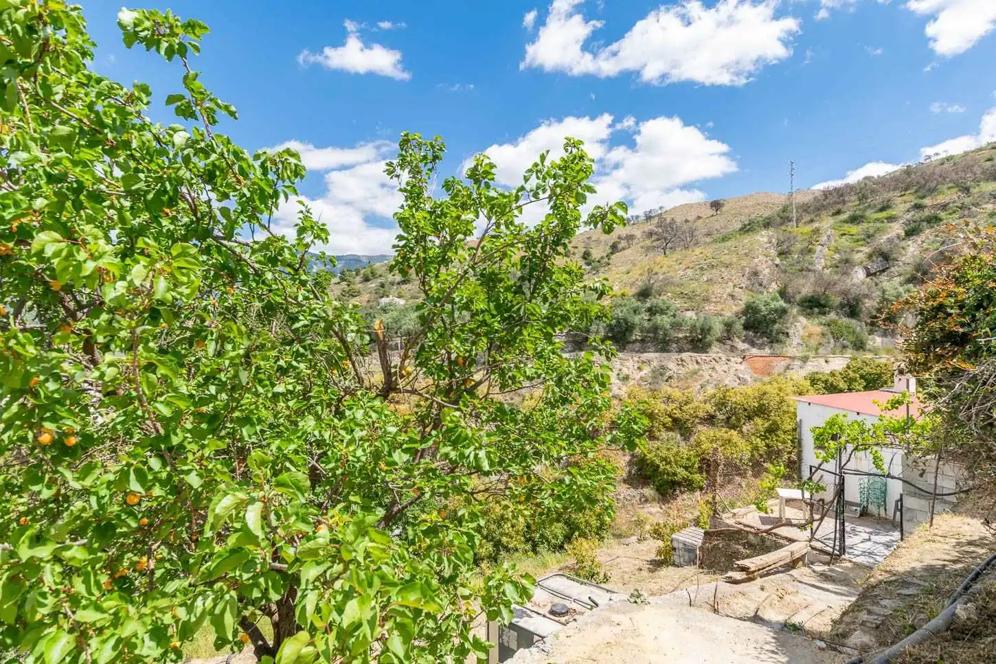 Casa con jardín en venta en Cómpeta, imagen 16