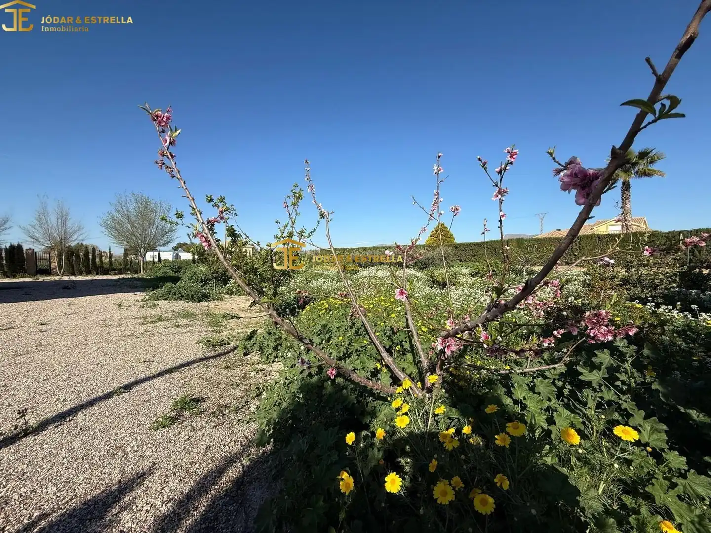 Xalet amb jardí en venda a Pedanías Centro, imagen 14