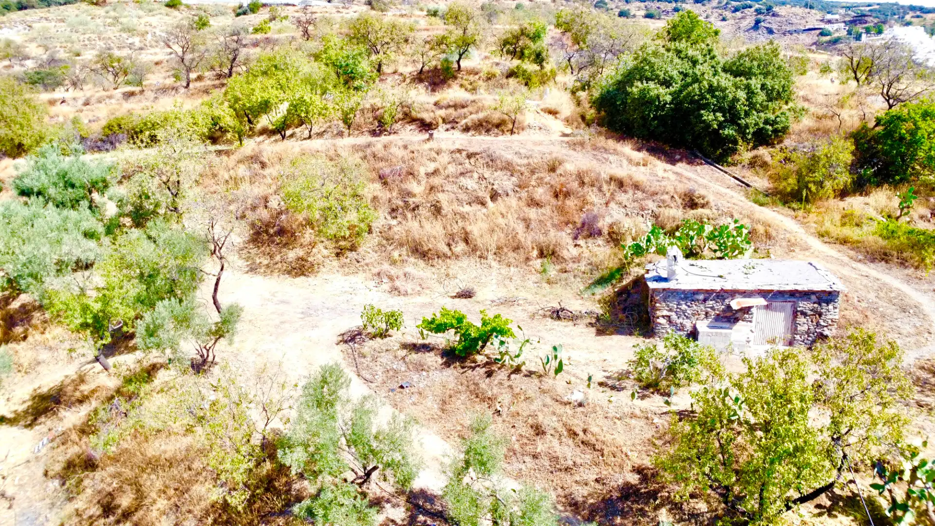 Terreno rustico in vendita a N/A, imagen 2