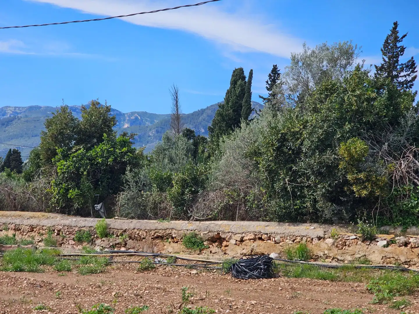 Terreno rústico en venta en Eucaliptus- Poble Nou del Delta, imagen 4