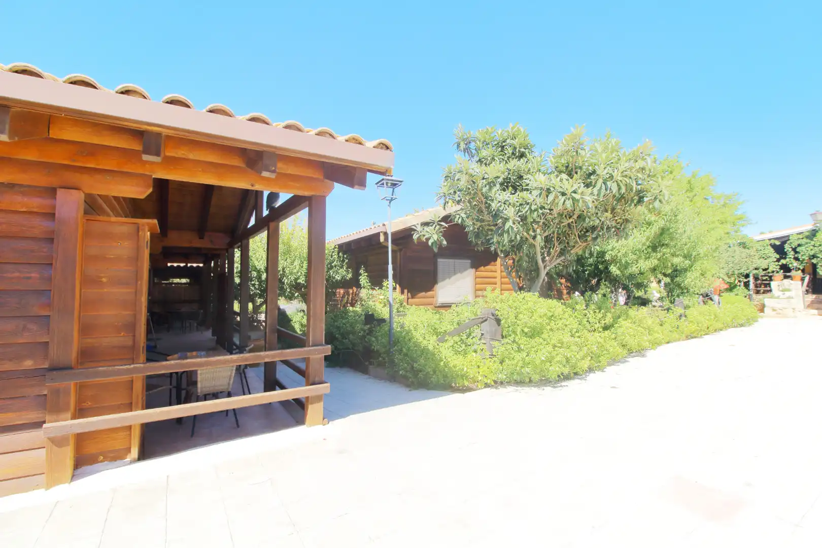 Inmuebles singulares con piscina en venta en Ossa de Montiel, imagen 39