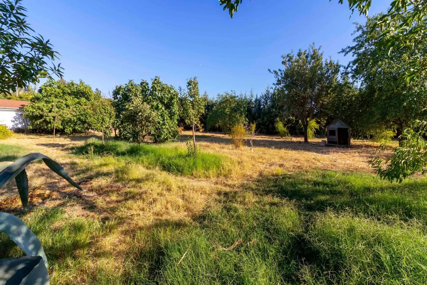 Maison rustique avec piscine à vendre à Dehesilla de Calamón - Campomanes, imagen 13
