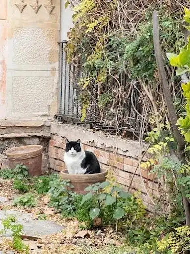 Vista exterior de Casa o xalet en venda en El Masnou amb Terrassa