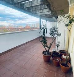 Terrace of Attic to rent in  Sevilla Capital  with Air Conditioner, Terrace and Pets allowed