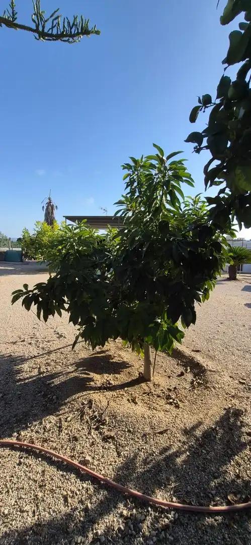Garden of Houses for sale in Cullera  with Heating, Private garden and Storage room