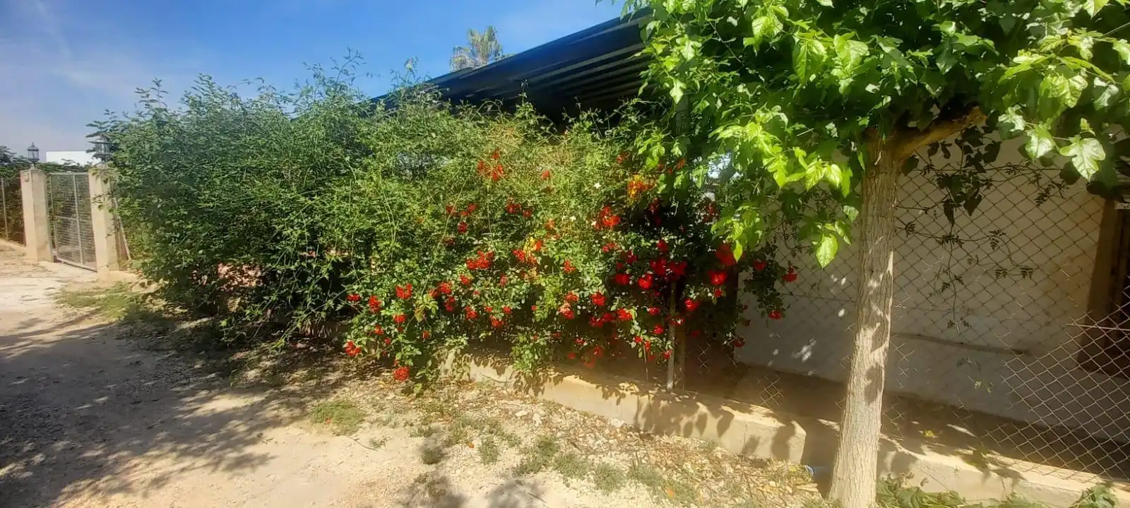 Jardí de Finca rústica en venda en Alcantarilla