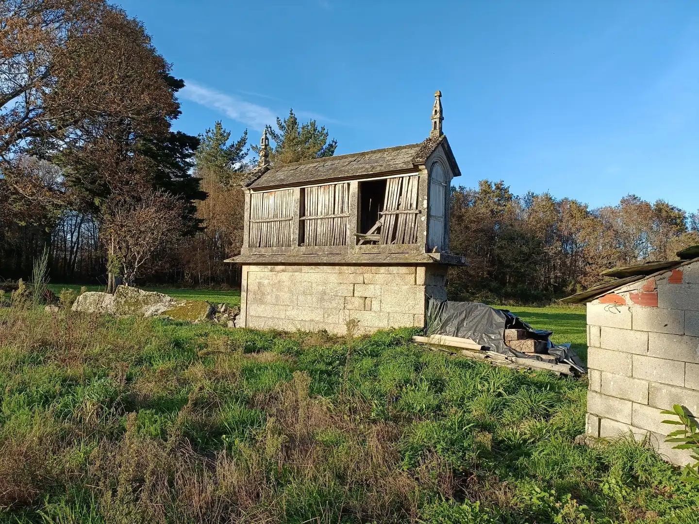 Vista exterior de Casa o xalet en venda en Guitiriz amb Jardí privat i Traster