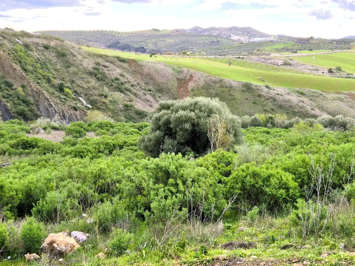 Wohnbaugrundstück zum Verkauf in Zona de la Vega, imagen 5