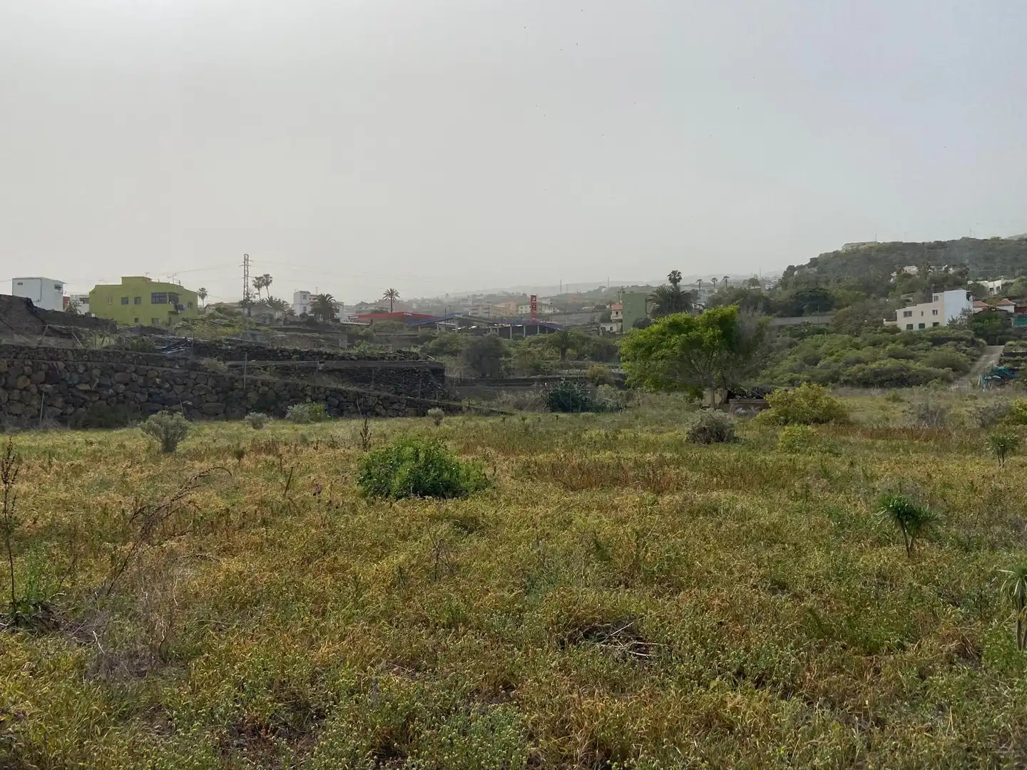 Rural land for sale in Calle la Yedra 59, imagen 13