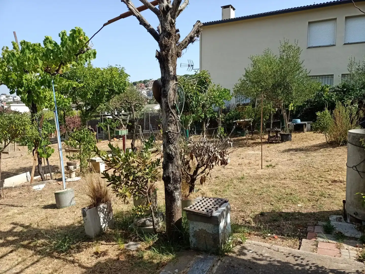 Terrenos y solares en venta en Sant Fost de Campsentelles, imagen 6