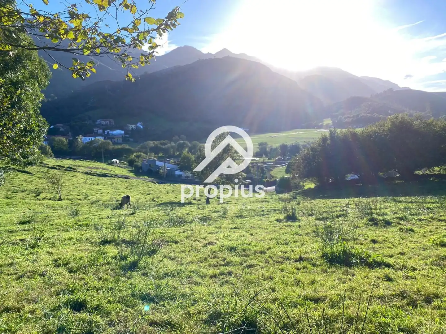 Terreno residencial en venta en LA BORBOLLA