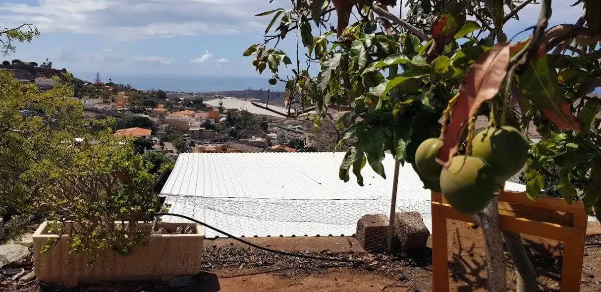 Vista exterior de Finca rústica en venta en San Bartolomé de Tirajana con Jardín privado, Terraza y Trastero
