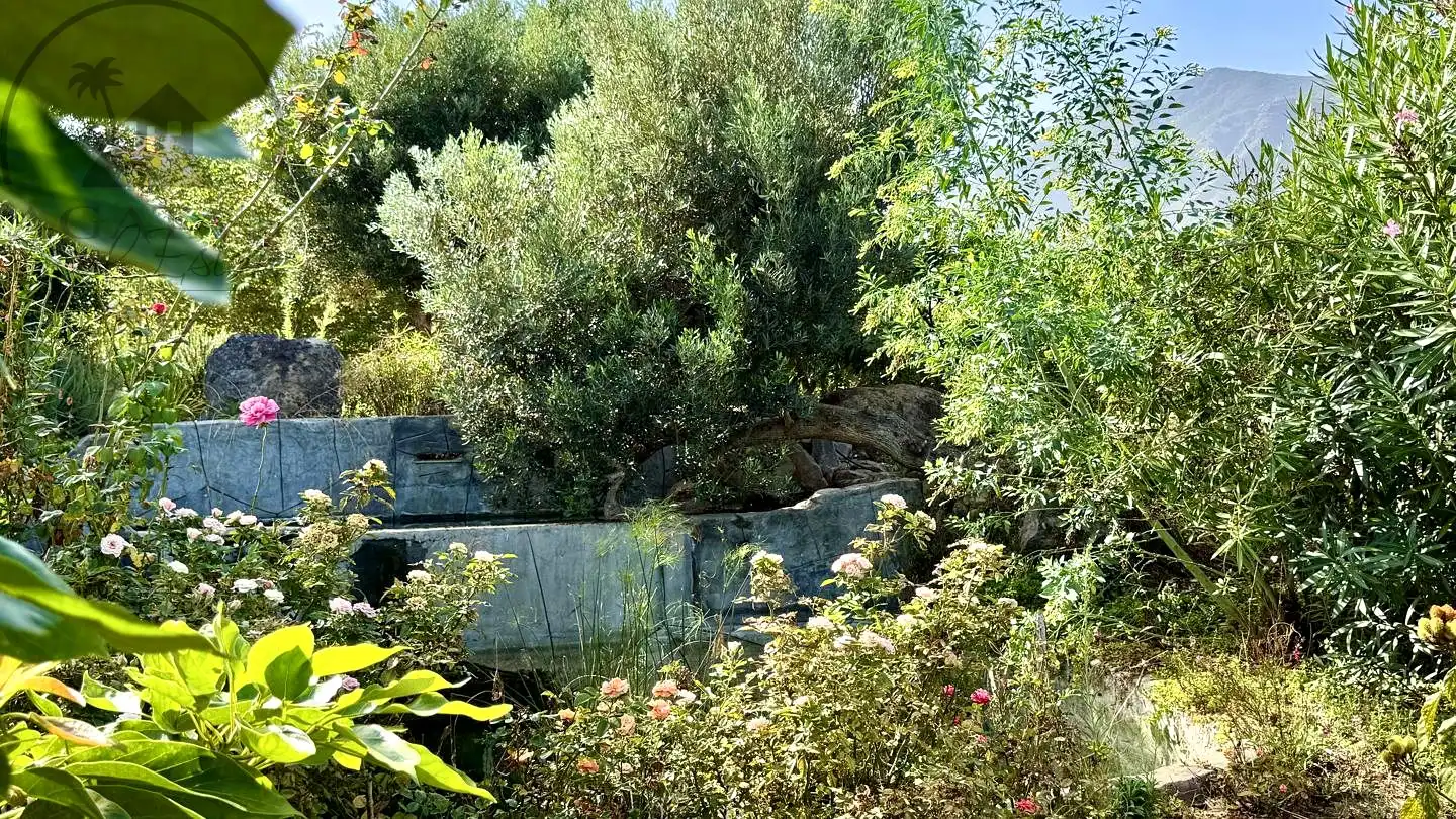 Jardí de Finca rústica en venda en Buenavista del Norte amb Jardí privat i Terrassa