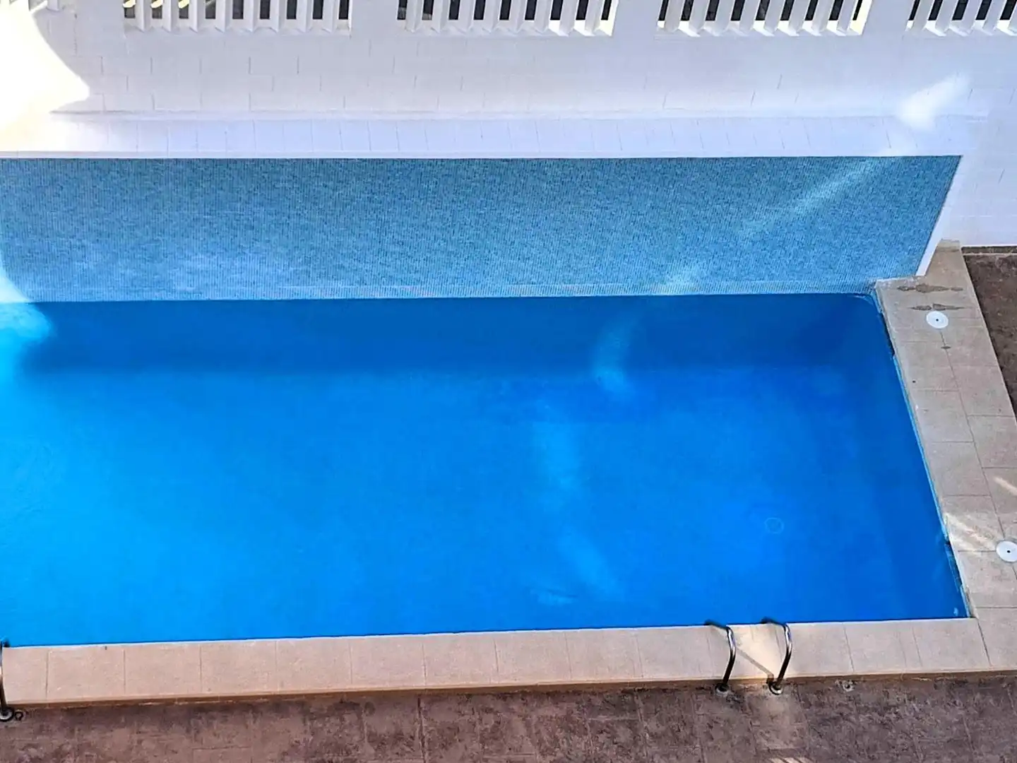 Swimming pool of Flat for rent in Elche / Elx  with Terrace, Furnished and Community pool