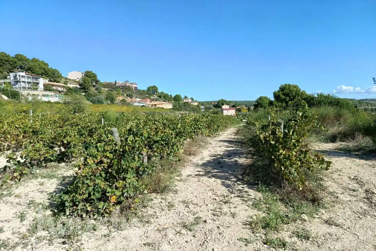 Residential zum Verkauf in Torrelles de Foix