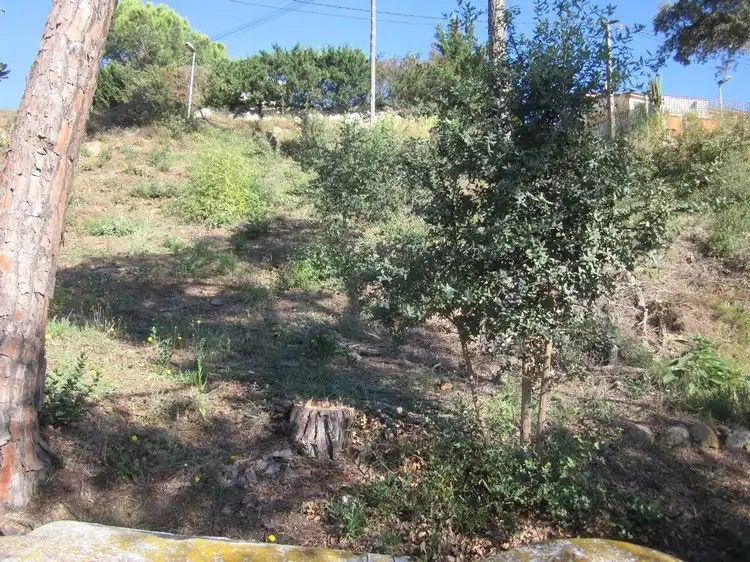 Terreny residencial en venda a Carrer del Puig Colomer, imagen 11