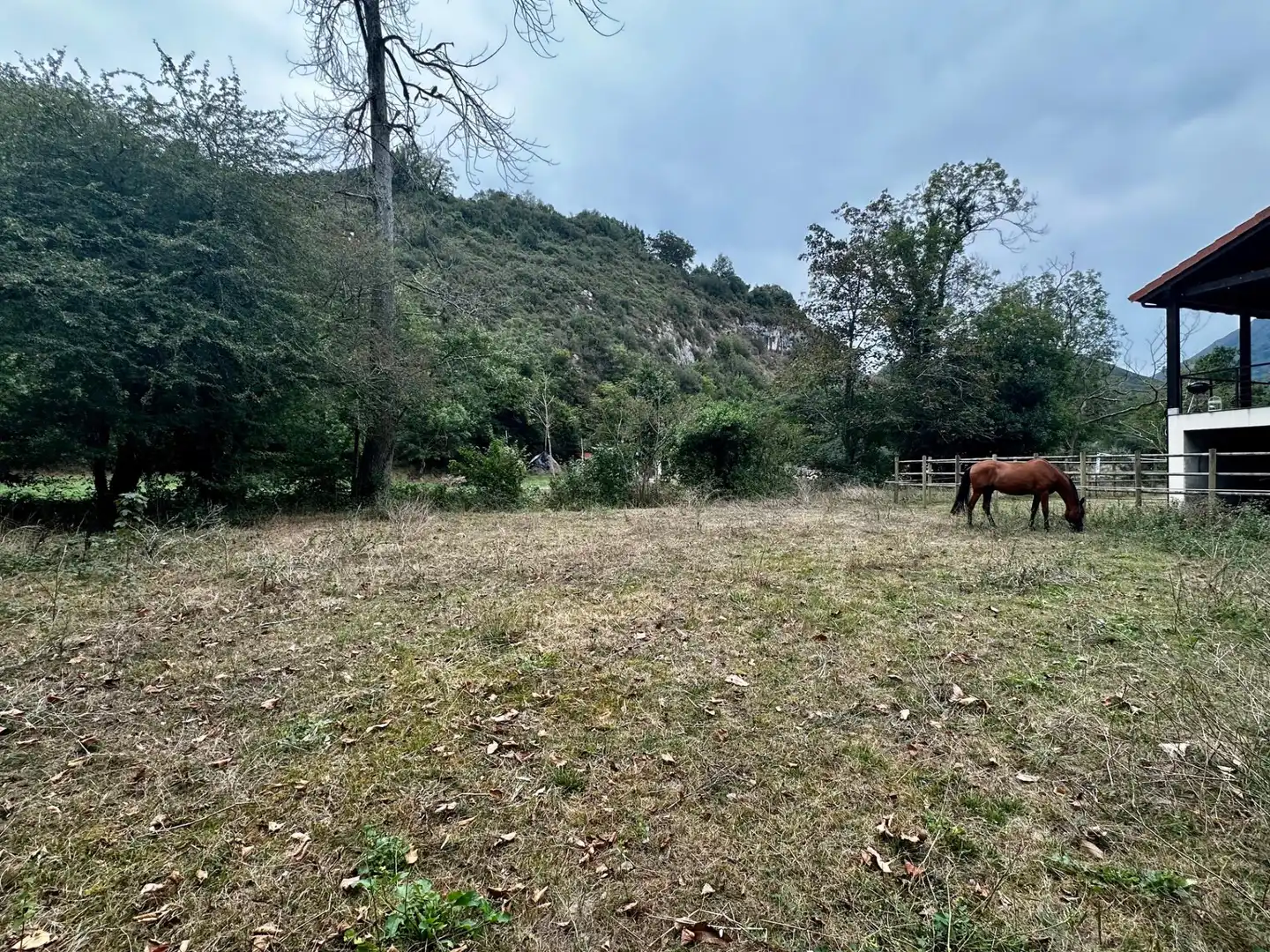 Residential for sale in Cangas de Onís