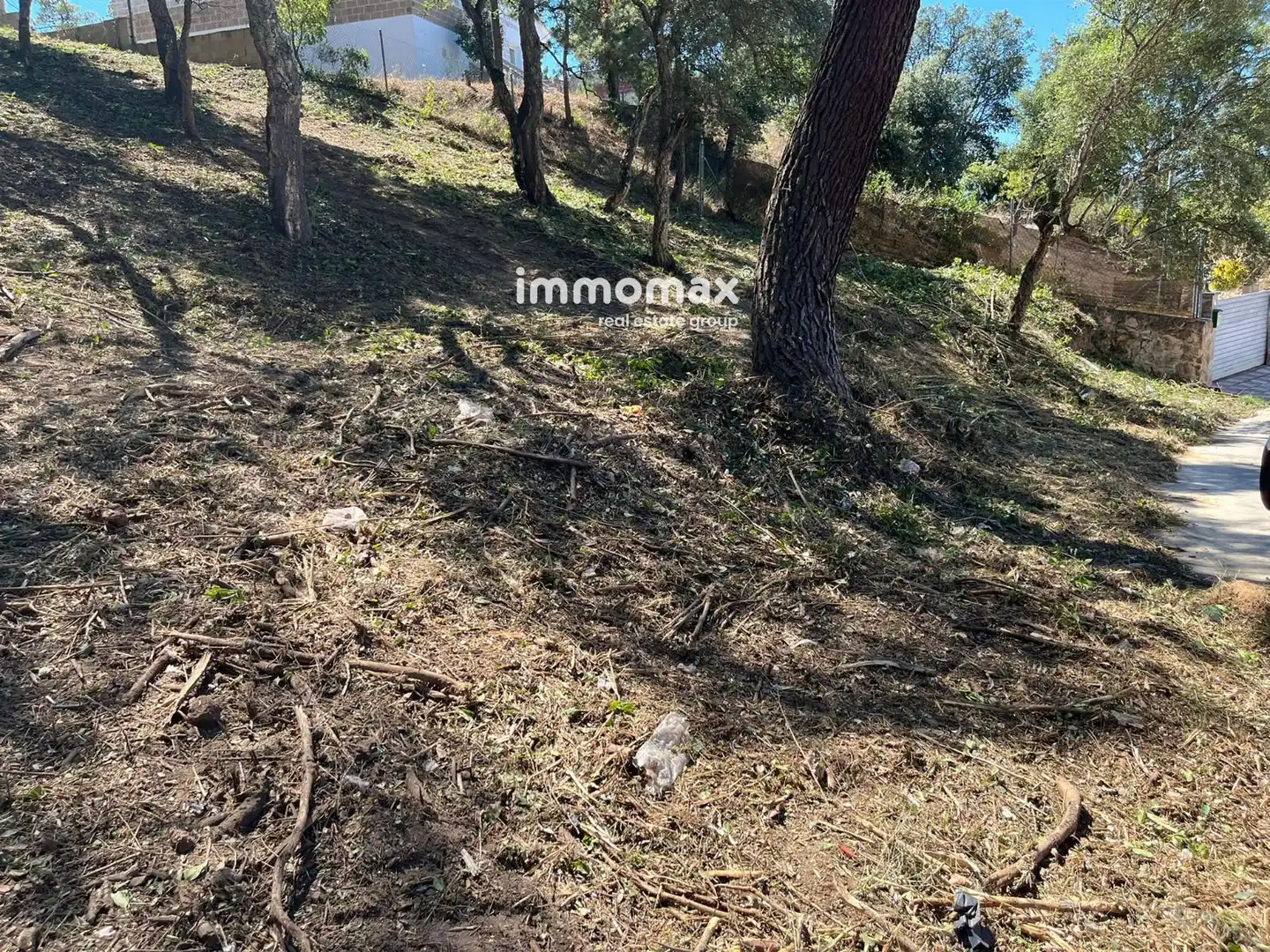 Rural land for sale in Begonia, imagen 2