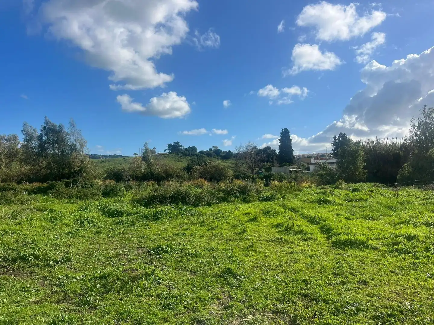 Rustikales Grundstück zum Verkauf in Los Barrios, imagen 5
