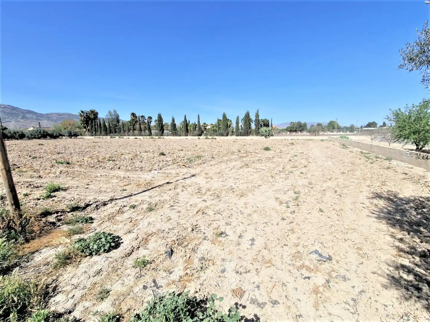 Residential land for sale in Pedanías Centro, imagen 3