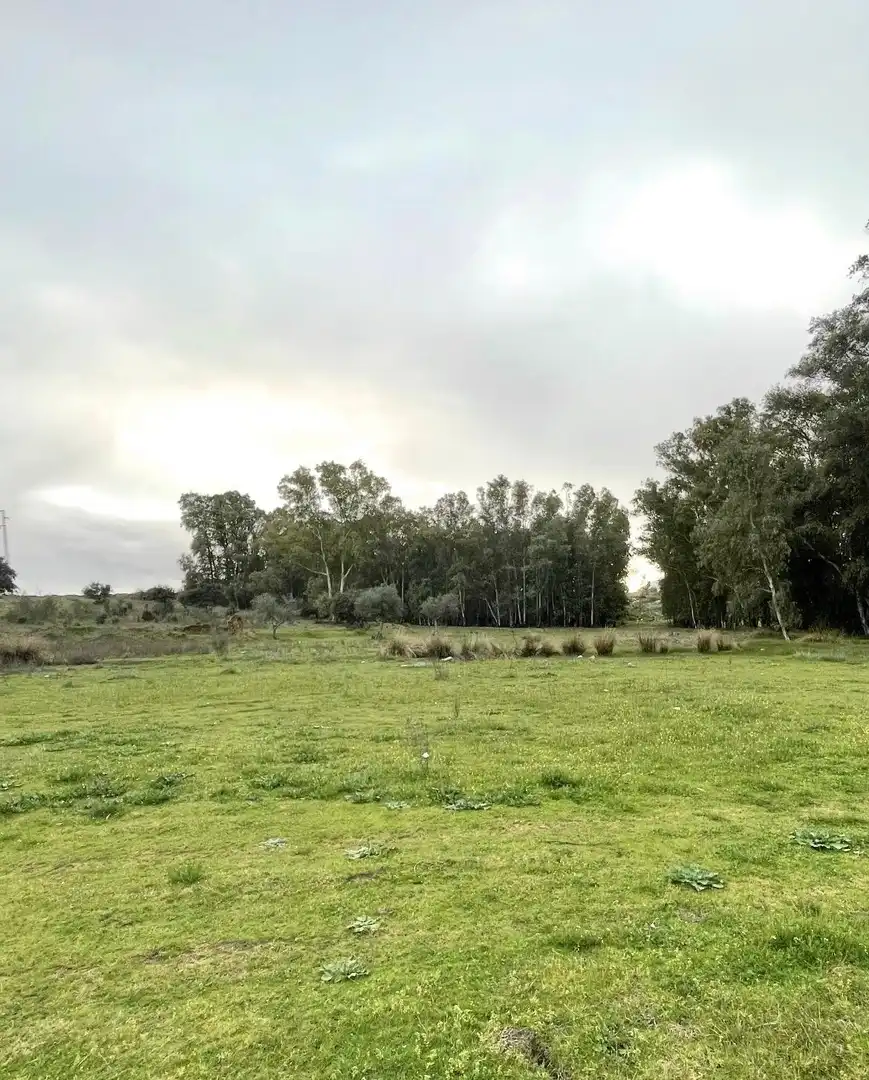 Terreni e lotti in vendita a Norte