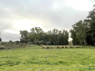 Terreno rustico in vendita a Norte