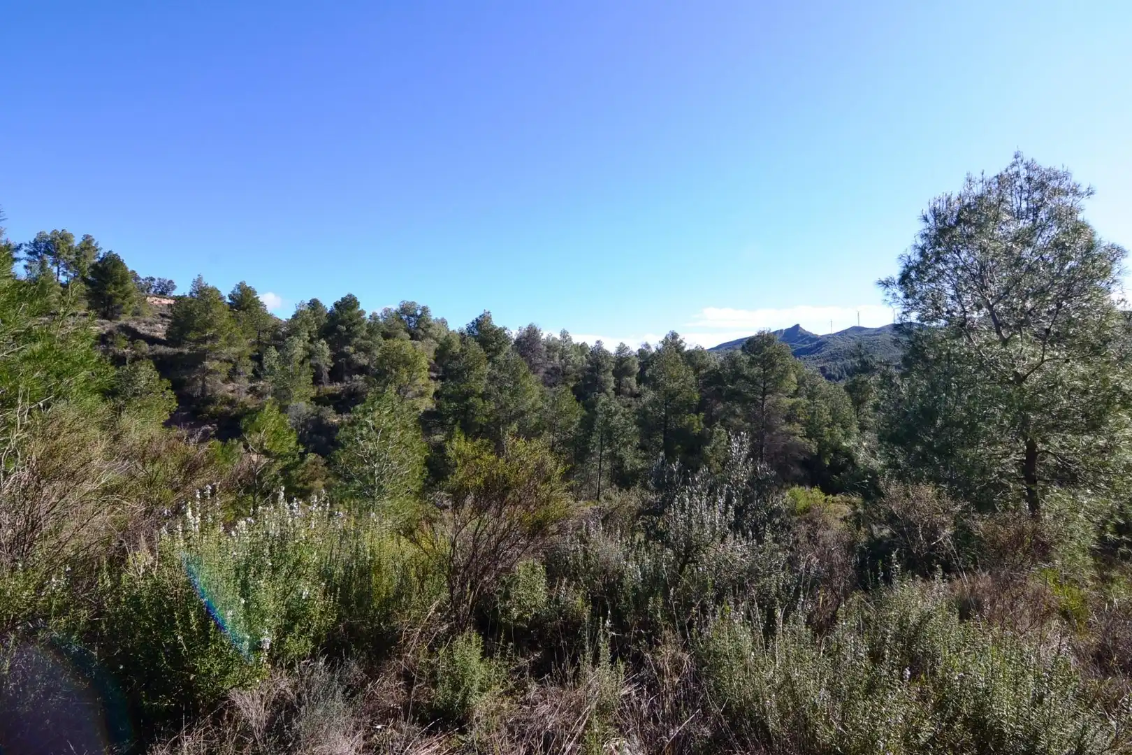 Rural land for sale in Ascó, imagen 44
