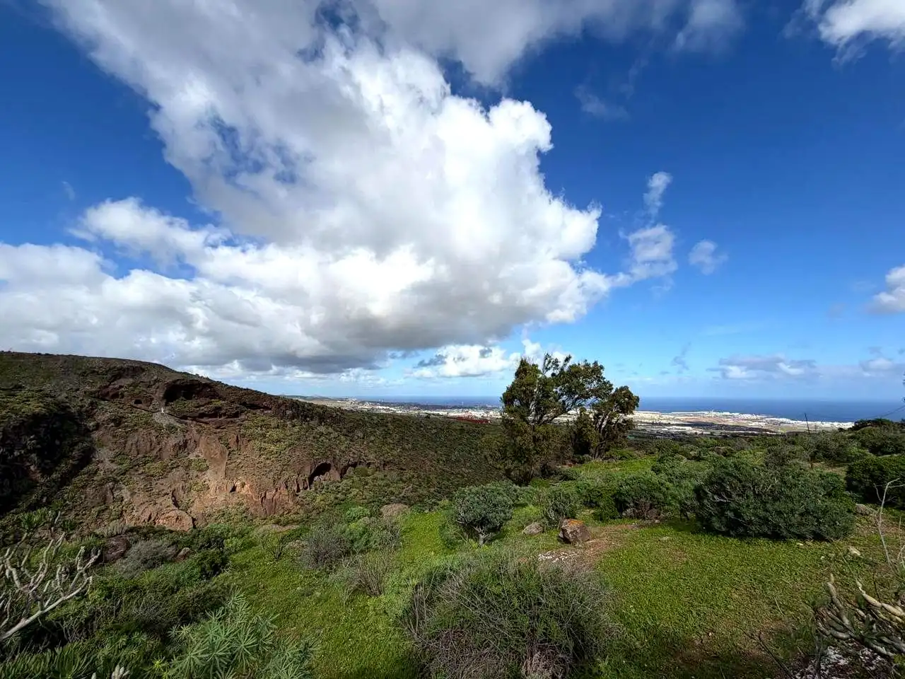 Vista exterior de Finca rústica en venta en Telde con Jardín privado y Terraza