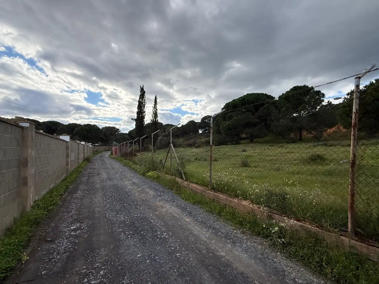 Terrenos y solares en venta en Las Palmillas, imagen 3