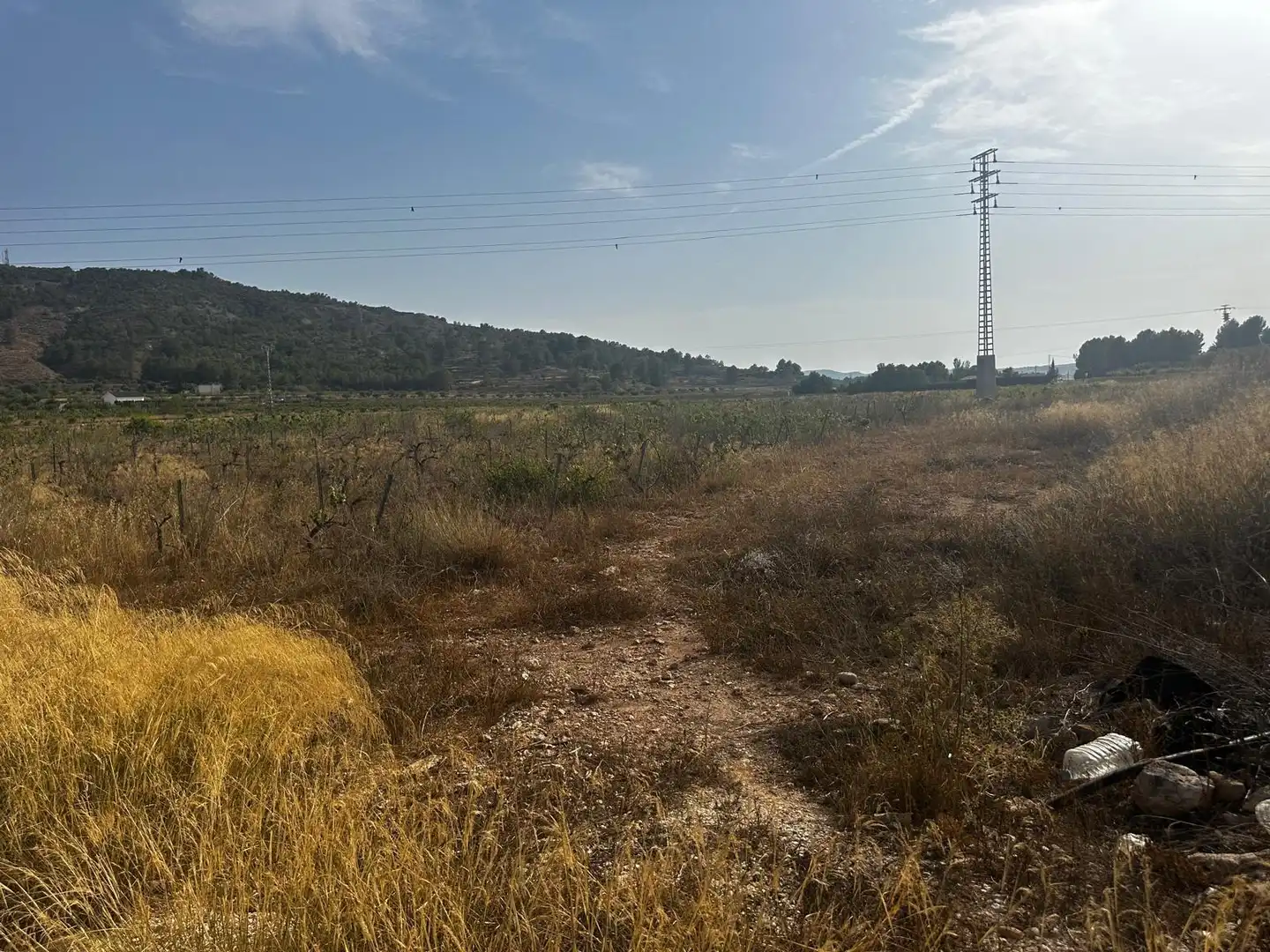 Terreno residencial en venta en El Pinós / Pinoso, imagen 6